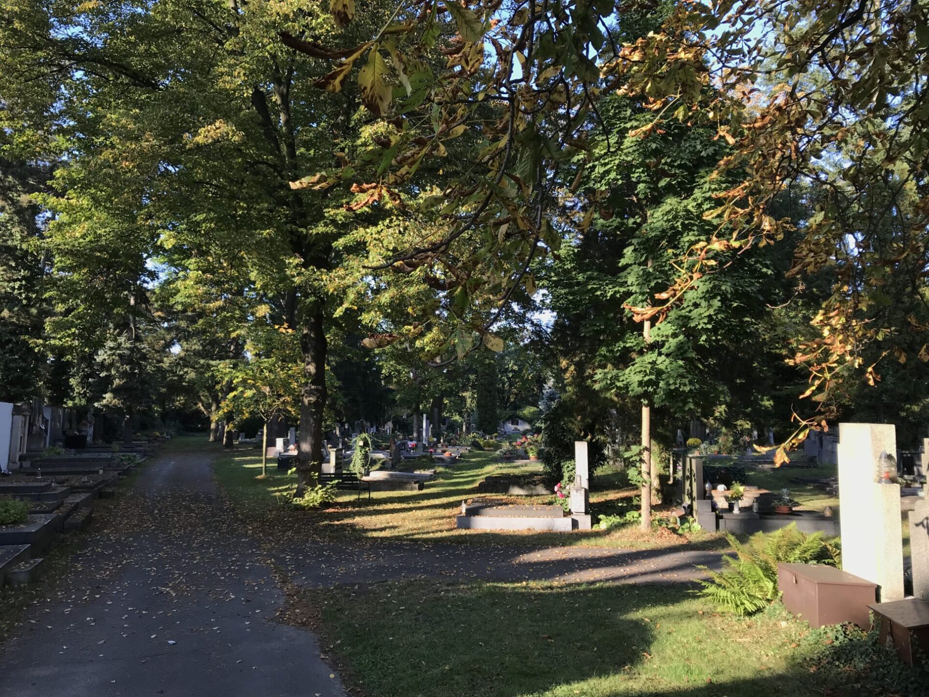 Kolínský hřbitov před Dušičkami.